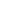 Linkedin icon